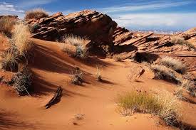 https://room42.wikispaces.com/Desert+Geography